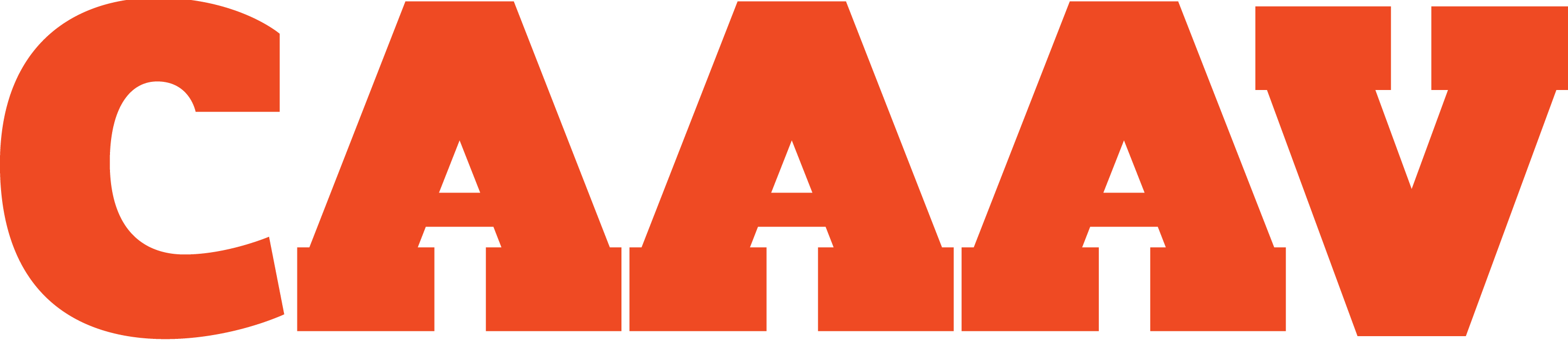 CAAAV: Organizing Asian Communities